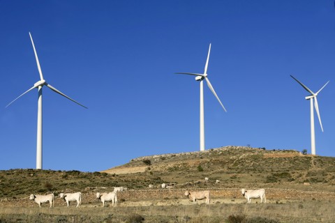 vetrna-26259156__480x320pxl.jpg