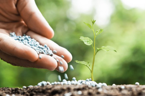 growtech_shutterstock_413881588__480x320pxl.jpg