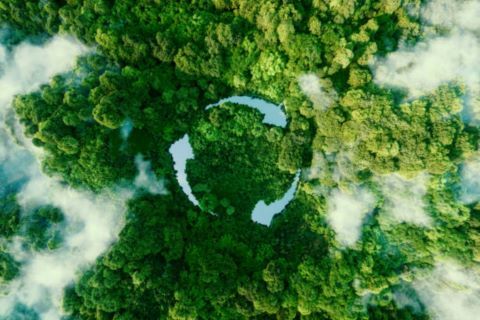 shutterstock_2356417187-Environmentalni-prumysl_480x320pxl_hd.jpg